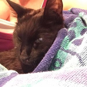 Meet your Posher, Robert